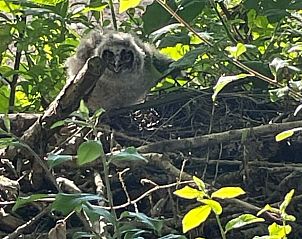 Verblijf 642908 - Vakantiewoning Zuid-Beveland - Vakantiehuisje in Lewedorp