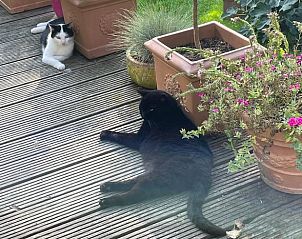 Verblijf 642908 - Vakantiewoning Zuid-Beveland - Vakantiehuisje in Lewedorp