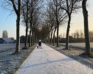 Verblijf 642908 - Vakantiewoning Zuid-Beveland - Vakantiehuisje in Lewedorp