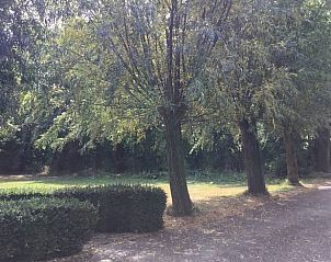 Bomenrijke omgeving rondom Vakantiehuisje in Vlake, Zuid-Beveland.