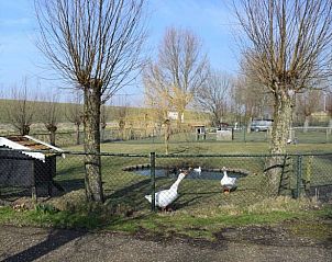Vogelverblijf met vijver bij Vakantiehuisje in Vlake, Zuid-Beveland.