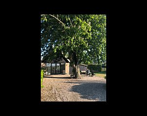 Buitenkant van Vakantiehuisje in Oud-Alblas omgeven door natuur in Alblasserwaard, Zuid-Holland.