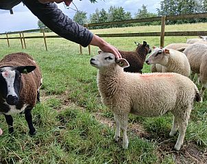 Guest house 650109 - Holiday property Alblasserwaard - ZH486