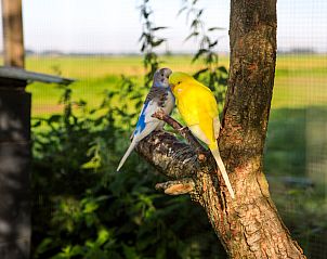 Guest house 650110 - Holiday property Alblasserwaard - ZH487