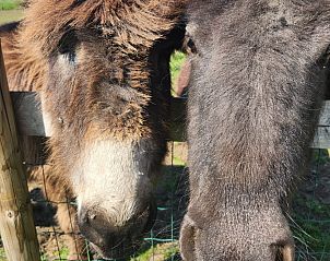 Guest house 650110 - Holiday property Alblasserwaard - ZH487