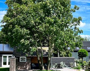 Verblijf 651304 - Vakantiewoning Alblasserwaard - Vakantiehuis in Streefkerk