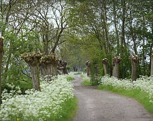 Verblijf 651304 - Vakantiewoning Alblasserwaard - Vakantiehuis in Streefkerk