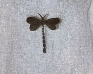 Libelle op gordijn in Vakantiehuis in Stolwijk, Alblasserwaard, Zuid-Holland.