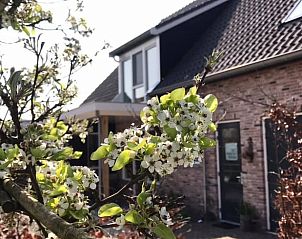 Verblijf 651901 - Vakantiewoning Alblasserwaard - Vakantiehuis in Hoornaar