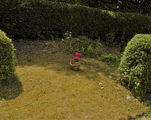 Tuin van Het Zomernest in Ouddorp met bloeiende planten en groene heggen voor privacy.