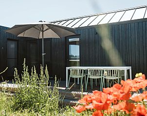 Veranda van vakantiehuis Scandic in Ouddorp, Goeree-Overflakkee met terras en parasol.