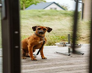 Verblijf 6601126 - Vakantiewoning Goeree-Overflakkee - Strandpark Duynhille 4