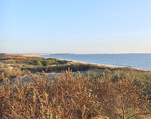 Guest house 6601150 - Holiday property Goeree-Overflakkee - Vakantiehuis in Ouddorp