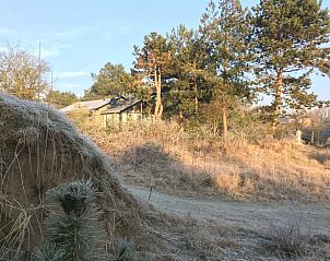 Guest house 6601150 - Holiday property Goeree-Overflakkee - Vakantiehuis in Ouddorp