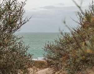 Guest house 6601160 - Holiday property Goeree-Overflakkee - Vakantiehuis in Ouddorp