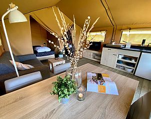 Guest house 660117 - Tent house Goeree-Overflakkee - Safaritent Zeeduin