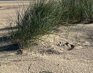 Verblijf 6601205 - Vakantiewoning Goeree-Overflakkee - Vakantiehuisje in Ouddorp aan zee