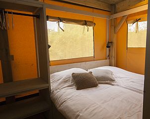 Guest house 660125 - Tent house Goeree-Overflakkee - Safaritent Duindoorn