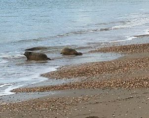 Verblijf 6601294 - Vakantiewoning Goeree-Overflakkee - DichterbijZee