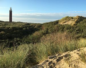 Leuchtturm und Dnen im Ferienhaus De Toekomst 126 Beachgarden in Ouddorp, Sdholland.