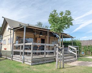 Guest house 660160 - Tent house Goeree-Overflakkee - Safaritent Duinroos