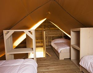 Guest house 660160 - Tent house Goeree-Overflakkee - Safaritent Duinroos