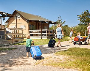 Guest house 660160 - Tent house Goeree-Overflakkee - Safaritent Duinroos