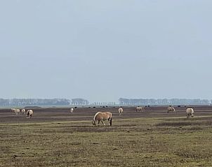Verblijf 660709 - Vakantiewoning Goeree-Overflakkee - Huisje in Sommeldsijk