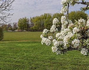 Verblijf 660713 - Vakantiewoning Goeree-Overflakkee - Huisje in Sommelsdijk