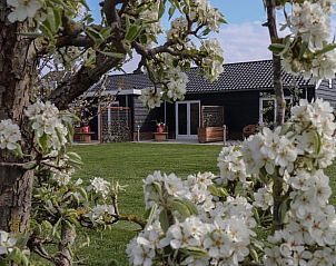 Unterkunft 660715 • Ferienhaus Goeree-Overflakkee • Vakantiehuisje in Sommelsdijk 