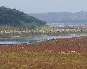 Unterkunft 661005 - Chalet Goeree-Overflakkee - De Flierefluit