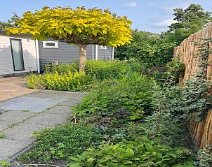 Unterkunft 661008 - Chalet Goeree-Overflakkee - Chalet Sea Birds