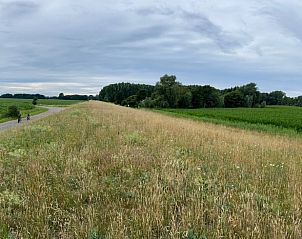 Weite Landschaft rund um das Ferienhaus in Goedereede, ideal zum Radfahren, Goeree-Overflakkee.