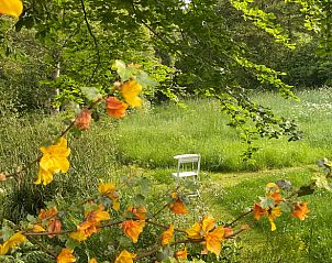 Blhender Garten mit Blumen im Ferienhaus in Goedereede, ruhig gelegen in Sdholland.
