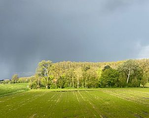 Felder und Bume in der Nhe des Ferienhauses in Goedereede, Goeree-Overflakkee.