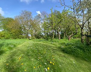 Grne Wege rund um das Ferienhaus in Goedereede, ideal fr Naturwanderungen, Sdholland.