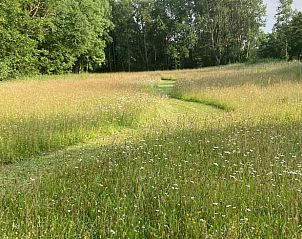 Uitgestrekt grasveld bij Vakantiehuisje in Goedereede, ideaal voor een ontspannen vakantie in Zuid-Holland.