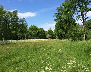 Groene weide bij Vakantiehuisje in Goedereede, perfect voor natuurliefhebbers in Zuid-Holland.