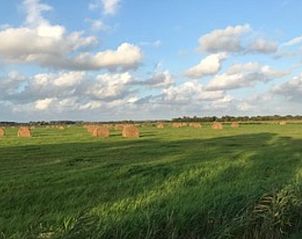 Zandstrand nabij Vakantiehuisje in Goedereede, ideaal voor strandwandelingen in Zuid-Holland.