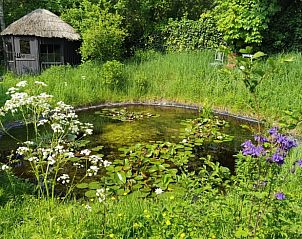 Natuurlijke vijver bij Huisje in Goedereede, vakantiehuis in Goeree-Overflakkee.