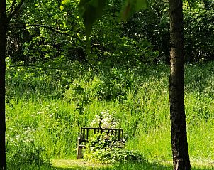 Rustiek bankje in de tuin van Huisje in Goedereede, vakantieverblijf in Zuid-Holland.