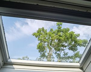 Dakraam met uitzicht op boom in Huisje in Goedereede, vakantiehuis in Goeree-Overflakkee.