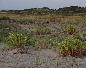 Unterkunft 661021 - Appartement Goeree-Overflakkee - Appartement Gemütliches Mobilheim mit 3 Schlafzimmern