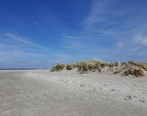 Unterkunft 661022 - Chalet Goeree-Overflakkee - Tiny House Jet