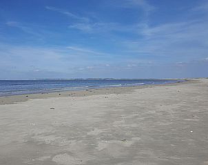 Unterkunft 661022 - Chalet Goeree-Overflakkee - Tiny House Jet