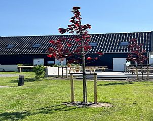 Guest house 661406 - Holiday property Goeree-Overflakkee - Bij Zee II Vloed