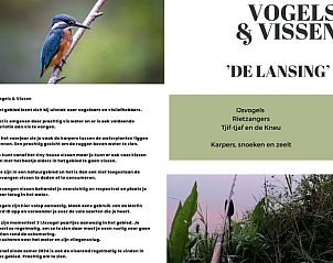 Folder over vogels en vissen bij Vakantiehuis in Reeuwijk, natuurpracht in het Groene Hart, Zuid-Holland.