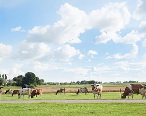 Verblijf 670904 - Vakantiewoning Groene hart - Huisje in Nieuwveen