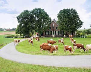 Unterkunft 670906 • Ferienhaus Groene hart • Vakantiehuis in Nieuwveen 