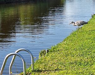 Verblijf 670907 - Vakantiewoning Groene hart - Vakantiehuisje in Nieuwveen